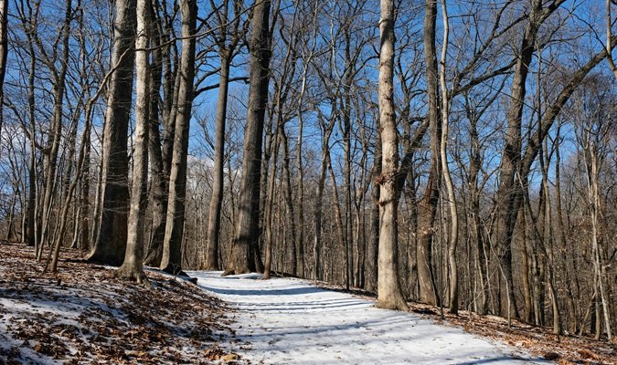 Caminhada de Inverno em Washington DC