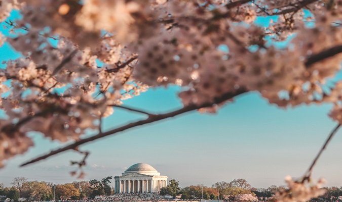 Washington DC mês a mês