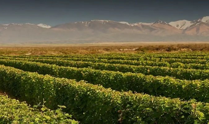 Bodegas Chandon