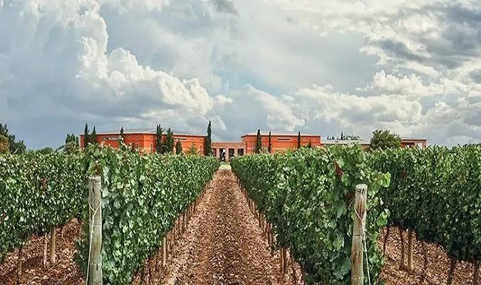 Bodega Ruca Malen