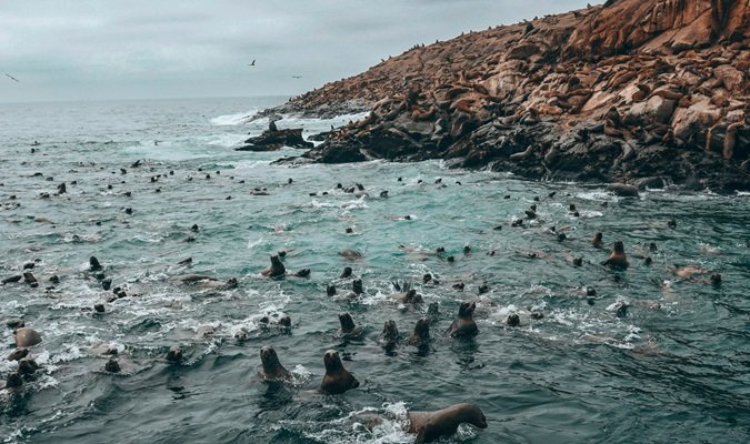 Tours em Lima e Arredores