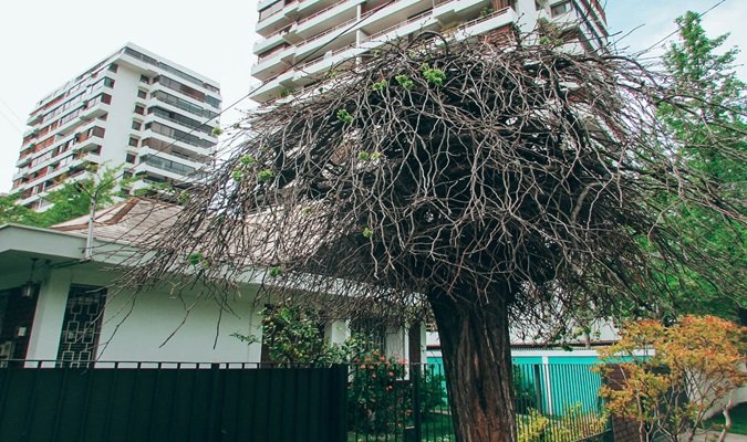 Dia 5 em Santiago – O que Visitar